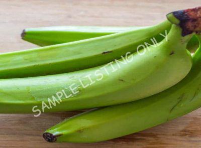 Cameroon Green and Yellow Plantain